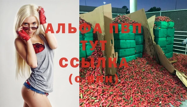 амф Сафоново
