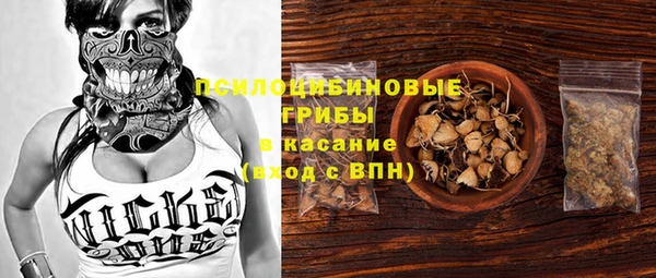 амф Сафоново